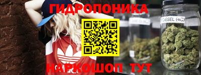 прущие грибы Камышлов