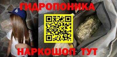 шишки Канаш