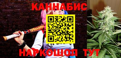 шишки Канаш