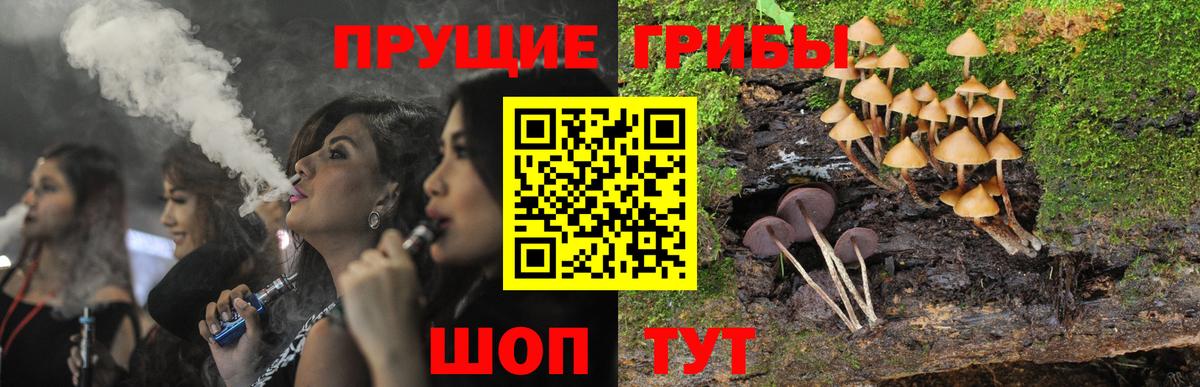 Псилоцибиновые грибы прущие грибы  Вход с VPN  Вязьма 